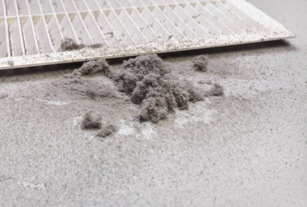 Best Residential Air Duct Cleaning  in Broad Creek, NC