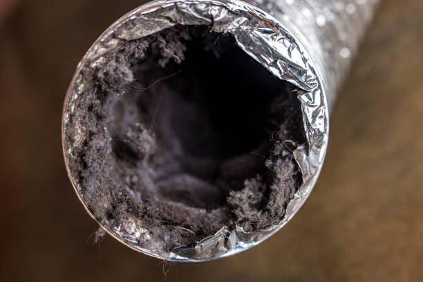 Best HVAC Duct Inspection Services  in Broad Creek, NC