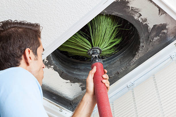Best Air Duct Mold Removal  in Broad Creek, NC